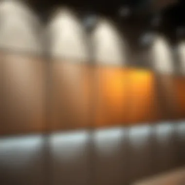 Metal wall panels with ambient lighting