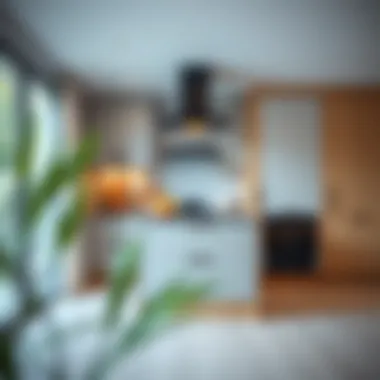 A modern kitchen with integrated kickboards