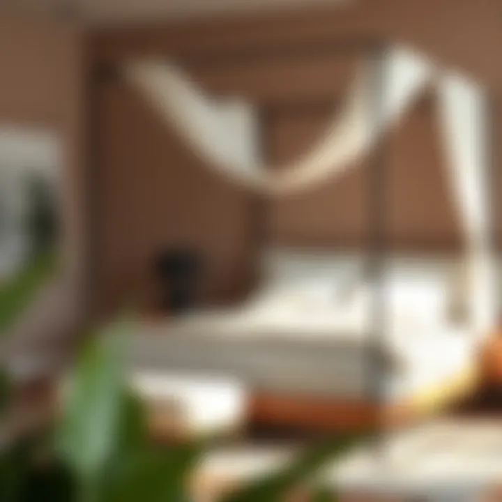 Trendy canopy bed featuring a minimalist design with sleek lines