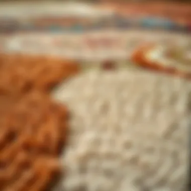 Collection of area rugs in various textures and colors