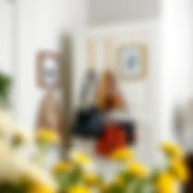 Effortless Installation of Purse Organizer Installation process of an over door purse organizer