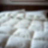 Luxurious queen size quilt in soft fabric