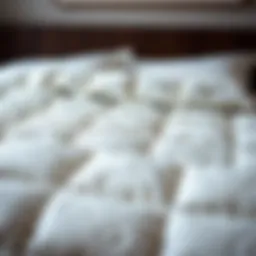 Luxurious queen size quilt in soft fabric