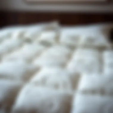 Luxurious queen size quilt in soft fabric