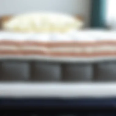 A visual comparison of various mattress materials including latex and innerspring