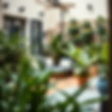Stylish patio featuring a variety of decorative fake plants