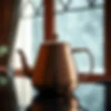 Elegant design of an insulated teapot