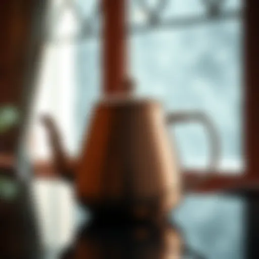 Elegant design of an insulated teapot