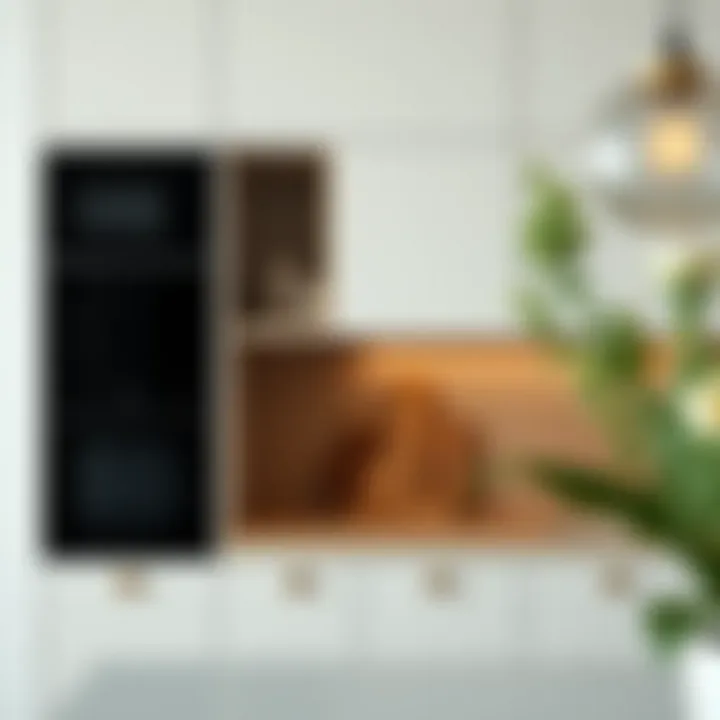 Sleek modern cabinet showcasing round handles in a minimalist kitchen