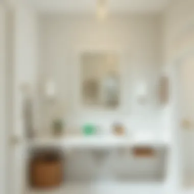 Organizational Harmony in Bathroom Spaces A beautifully organized bathroom featuring a single mirror medicine cabinet