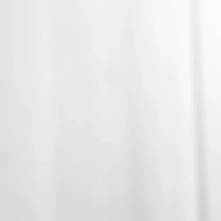 Texture of White-Stained Oak Wood Close-up of the texture of white-stained oak wood