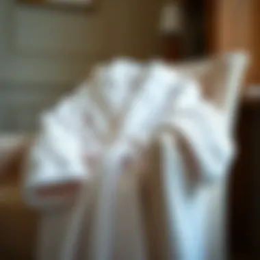 Luxurious Elegance in Loungewear Luxurious white terrycloth bathrobe draped elegantly over a plush chair