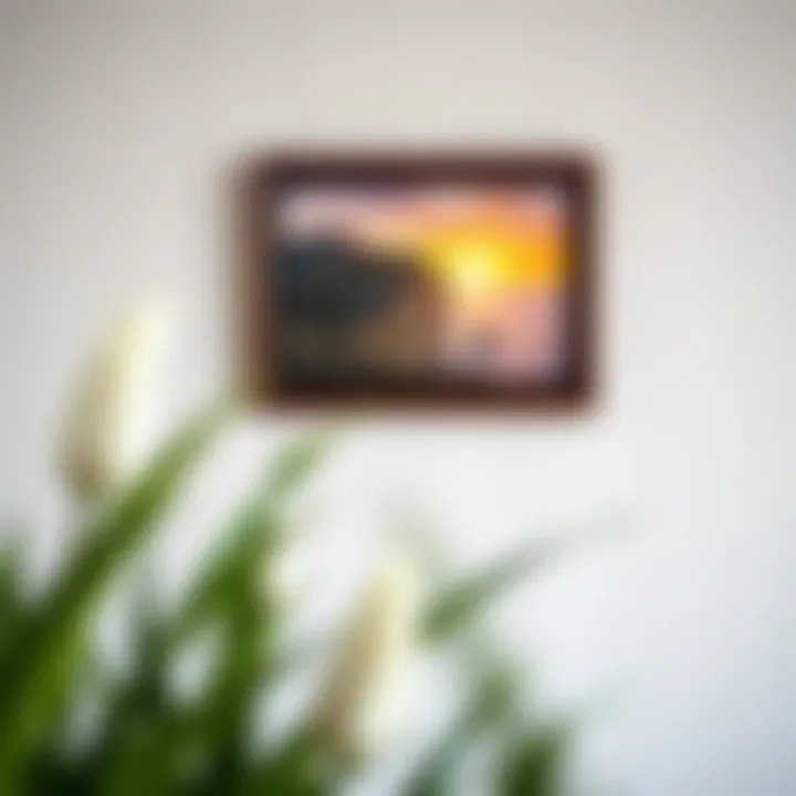 Close-up of a vibrant framed photo print on a textured wall