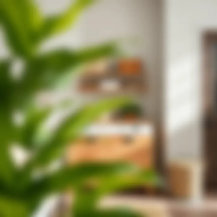 Wood laundry basket organizer enhancing room decor