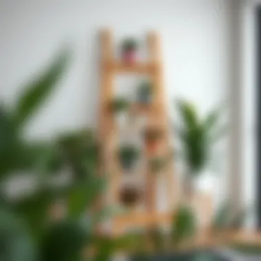 Elegant wooden plant stand ladder showcasing various plant arrangements